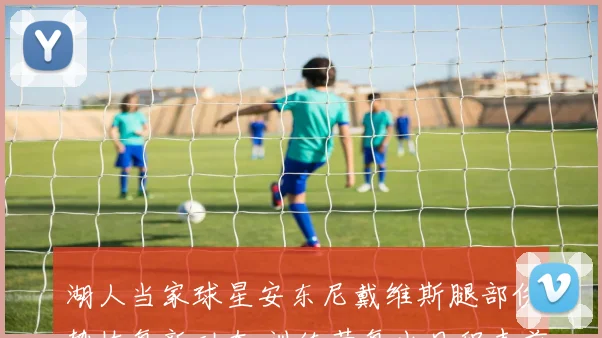 湖人当家球星安东尼戴维斯腿部伤势恢复新动态 训练营复出日程表前瞻