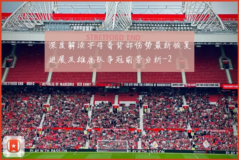 深度解读字母哥背部伤势最新恢复进展及雄鹿队争冠前景分析