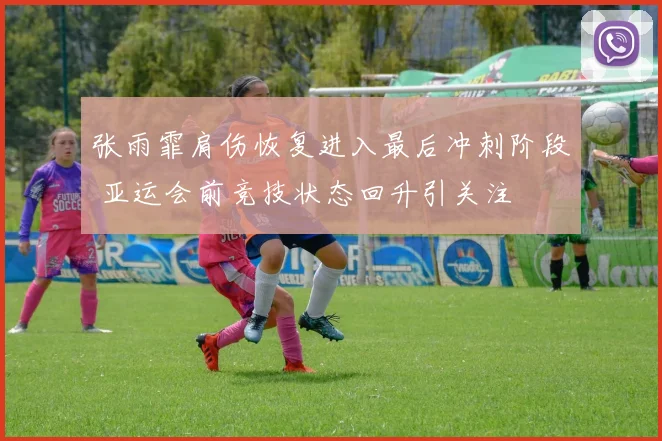 张雨霏肩伤恢复进入最后冲刺阶段 亚运会前竞技状态回升引关注