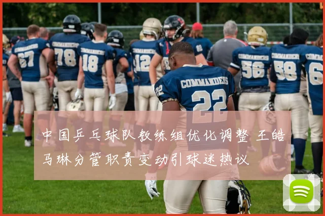 中国乒乓球队教练组优化调整 王皓马琳分管职责变动引球迷热议