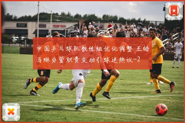 中国乒乓球队教练组优化调整 王皓马琳分管职责变动引球迷热议
