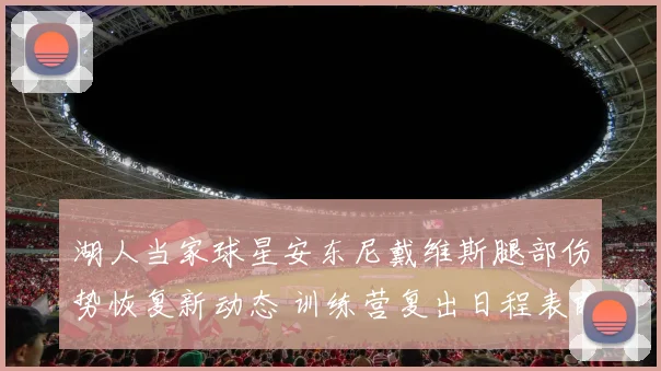 湖人当家球星安东尼戴维斯腿部伤势恢复新动态 训练营复出日程表前瞻